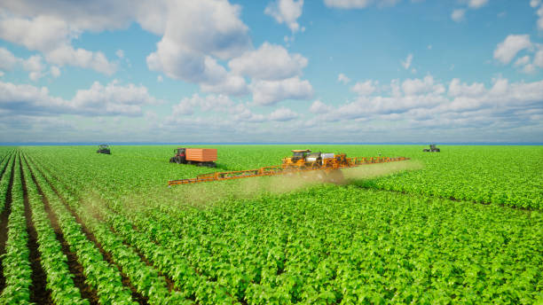istock Agriculture tractor spraying fertilizer on soybean fields, Technology smart farm concept, 3d render 1454361875