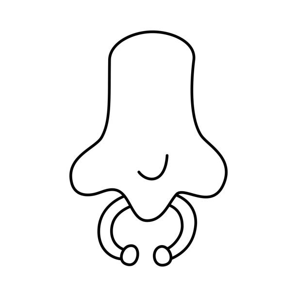 ilustraciones, imágenes clip art, dibujos animados e iconos de stock de ilustración vectorial de la nariz con piercings. arte de terror sobre fondo negro. - piercing nariz hombre