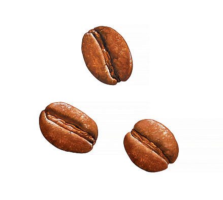 COFFEE BEAN ILLUSTRATION, isolated on white background