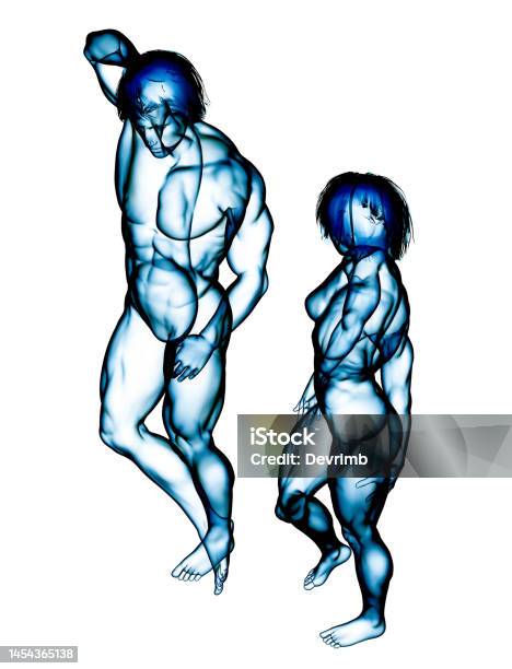 Muscle Systems Of Beautiful Fitness Couple Stock Photo - Download Image Now - Anatomical Model, Health Technology, 3D Scanning