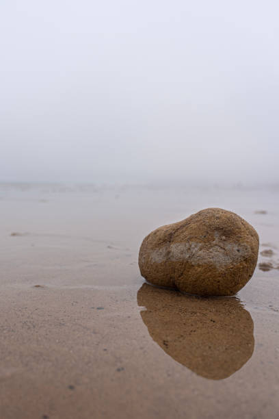 istock A rock stranded on a sandy beach in north yorkshire, uk 1454367131