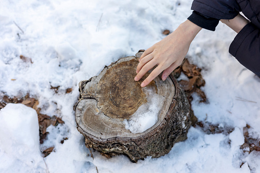 Woman is touching a tree stump on snow covered mountain in winter