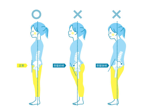 illustrations, cliparts, dessins animés et icônes de exemple de bonne et mauvaise posture dans women_pelvis - torso physical therapy patient relaxation exercise