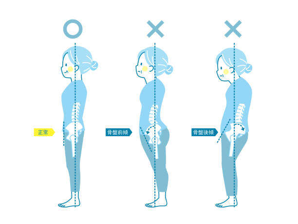 illustrations, cliparts, dessins animés et icônes de exemple de bonne et mauvaise posture d’un woman_pelvis senior - torso physical therapy patient relaxation exercise