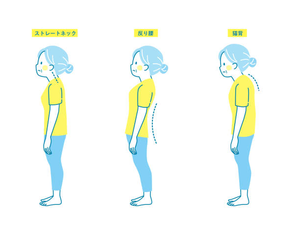 příklady dobrého a špatného držení těla starších žen - kegelovy-cviky stock ilustrace