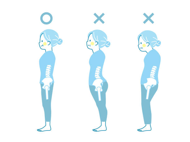 illustrations, cliparts, dessins animés et icônes de exemple de bonne et mauvaise posture d’un woman_pelvis senior - torso physical therapy patient relaxation exercise