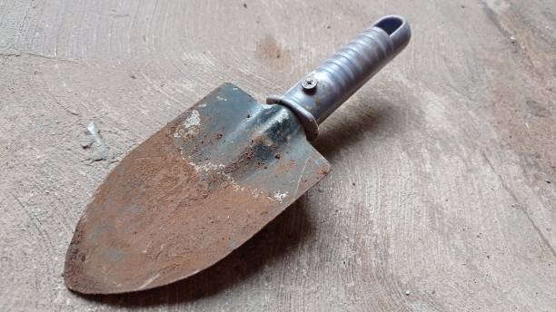 istock dirty little shovel with a faded blue handle 1454371576