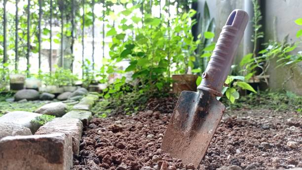 istock a small shovel stuck in the ground 1454371610