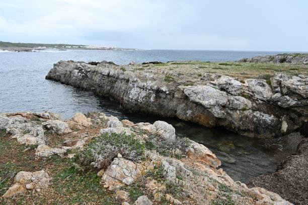 Fasvignana: Egadi Islands. Nature