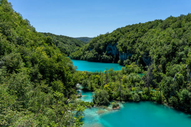 istock Plitvice National Park, where the beautiful natural environment is well preserved 1454374311