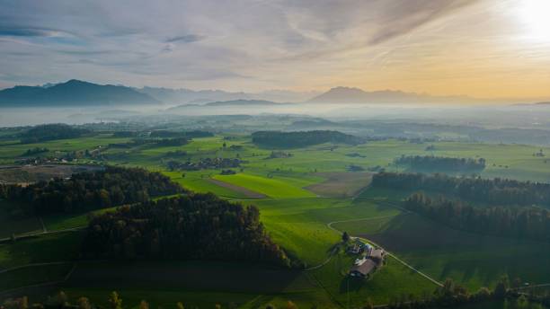 istock Aerial view of greenery field with dense trees during sunset 1454374508