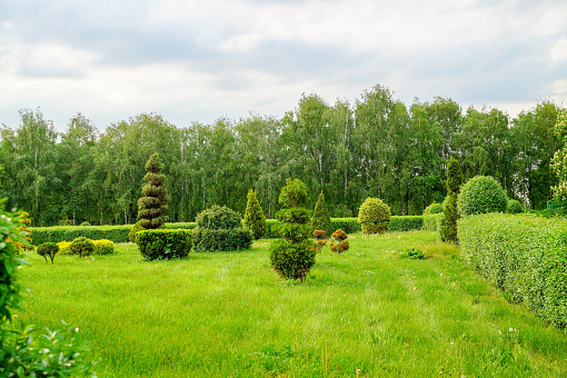 Topiary art landscape. Beautiful garden art decoration on blossom exotic trees background in the park.