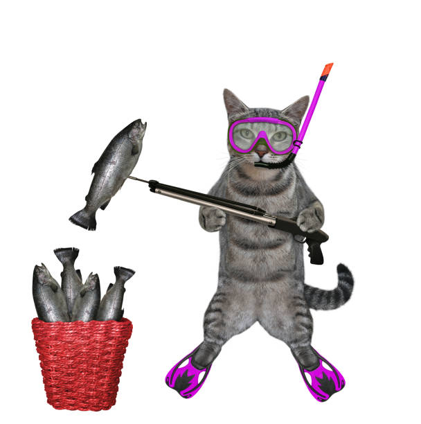 istock Cat gray underwater hunter caught trout 1454375876