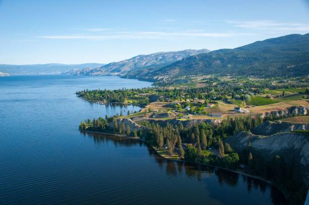 vista del paisaje del lago okanagan con viñedos y huertos cerca de la playa - okanagan penticton lake okanagan lake fotografías e imágenes de stock