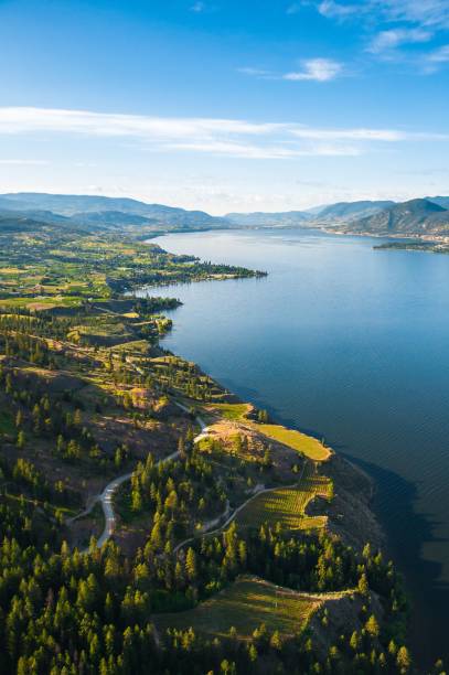 オカナガン湖とナラマタベンチのブドウ園に囲まれたペンティクトンの空撮 - lake canada field okanagan ストックフォトと画像