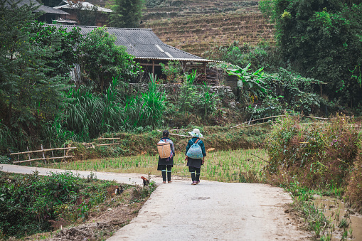 rear view on two indigenous woman from black hmong tribe walking in the sa pa mountain region in north vietnam