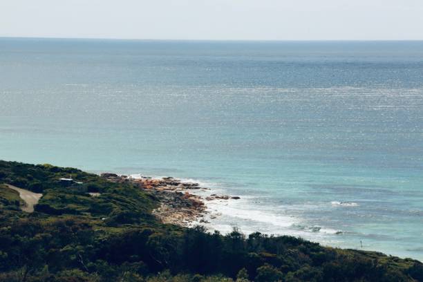 istock Landscape view of the beach with green lush trees 1454377750