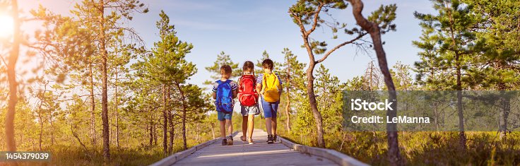 istock Children walking on the boardwalk on bog. 1454379039