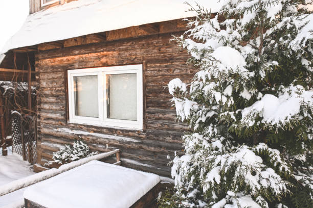 istock Snow covered trees in the backyard garden 1454379716
