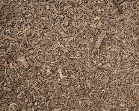 Background large sawdust lie on the ground in an even layer. Close-up of wood chips in a sawmill. Sawdust covers the ground in an even layer creating a special texture..