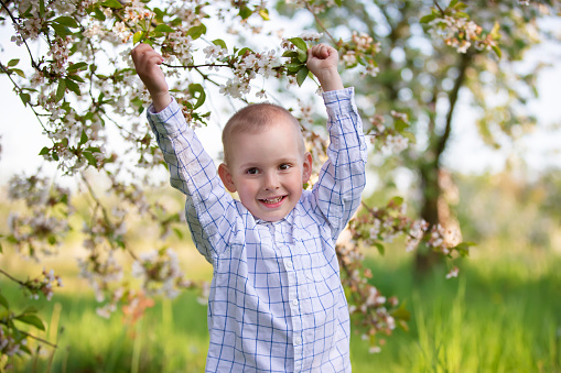 A happy child in a blooming spring garden rejoices, smiles.
