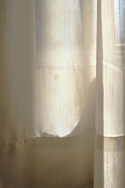 istock Abstract silhouette scene with sheer curtain inside window in bedroom. 1454385605
