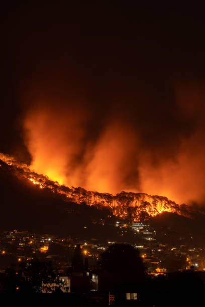 istock Powerful fire spreads through the forest near a town 1454386996