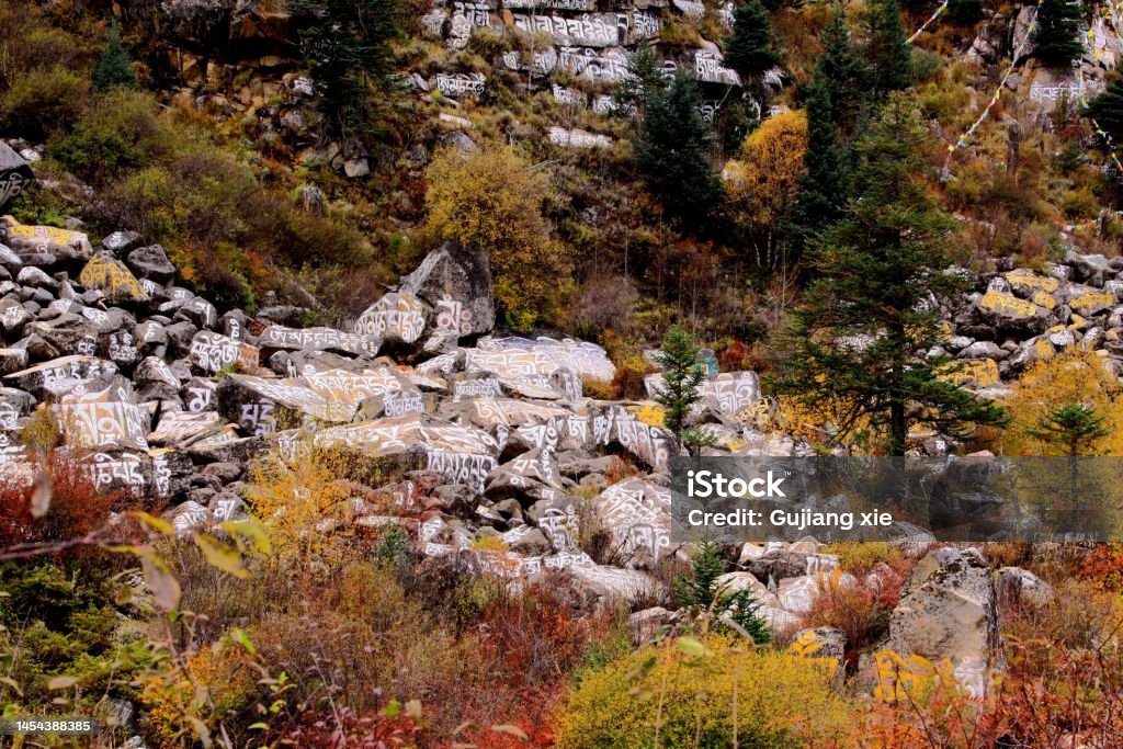 The Manidui (Marnyi Stones. stone engraved scriptures) and prayer flag on the roadside of Xinduqiao to Tagong Xinduqiao is a famous town on the 318 national Highway in western Sichuan,.The golden autumn scenery is very beautiful Autumn Stock Photo