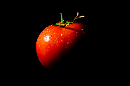 Ripe big juicy red tomato for cooking