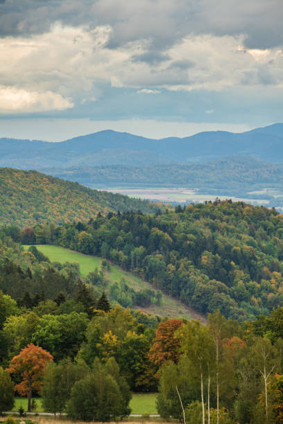 istock Autumnal Mountain View with Forest Cover 1454394051