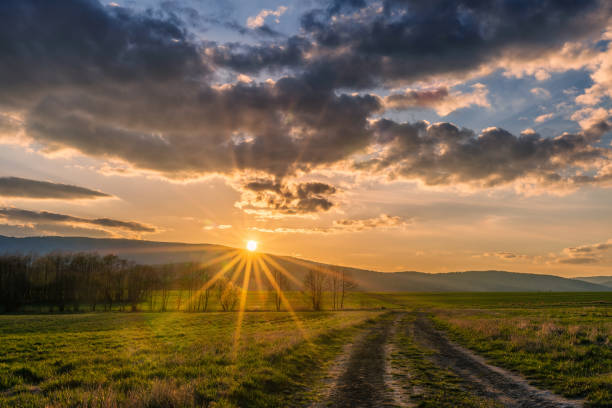This photograph captures the stunning beauty of a sunset, as the sun sets behind a range of mountains. The sun's rays burst out from behind the peaks in a starburst pattern, adding to the grandeur of the scene. A path winds its way through a field in the foreground, leading the viewer's eye towards the sunset. The mountains in the background are rugged and majestic, providing a dramatic backdrop to the scene. This image is sure to evoke feelings of wonder and awe.