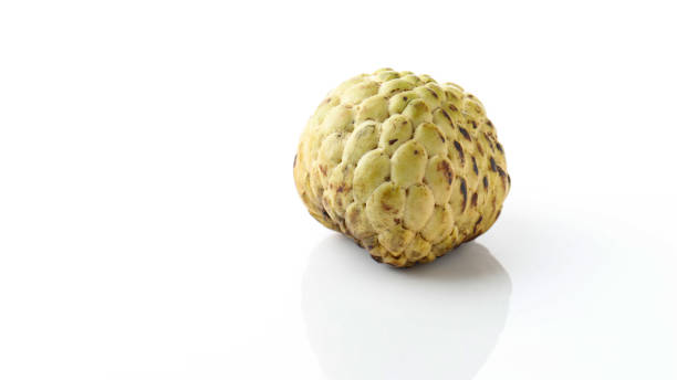 Single Organic Sugar Apple or Custard Apple, Annona, Sweetsop Single Organic Sugar Apple or Custard Apple, Annona, Sweetsop, Isolated on White Background. noni fruit stock pictures, royalty-free photos & images