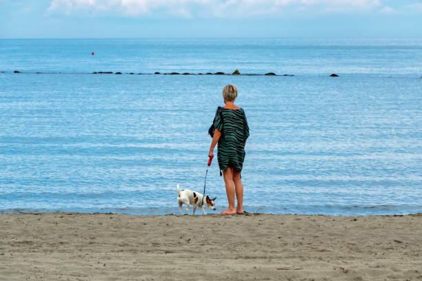 woman with dog at beach - fotografia de stock