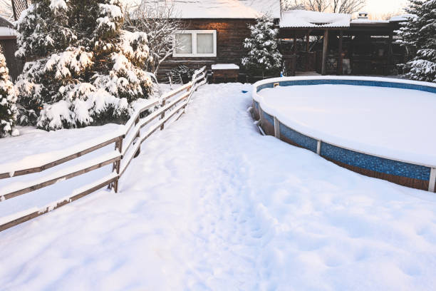 Snow covered trees in the backyard garden
