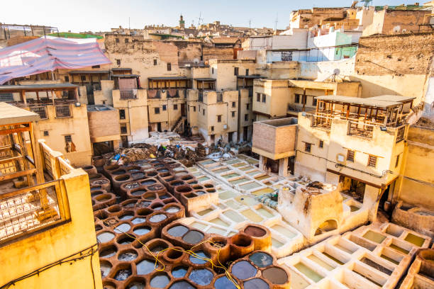 Famous tannery in Fez, Morocco, North Africa Famous tannery in sunny Fez, Morocco, North Africa fez morocco stock pictures, royalty-free photos & images