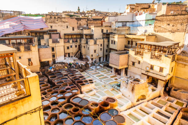 curtume famoso em fez, marrocos, norte da áfrica - moroccan tannery - fotografias e filmes do acervo