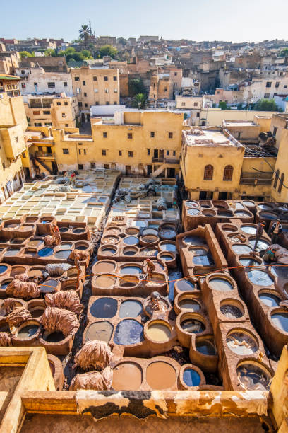 curtume de pele famoso em fes, marrocos, áfrica - moroccan tannery - fotografias e filmes do acervo