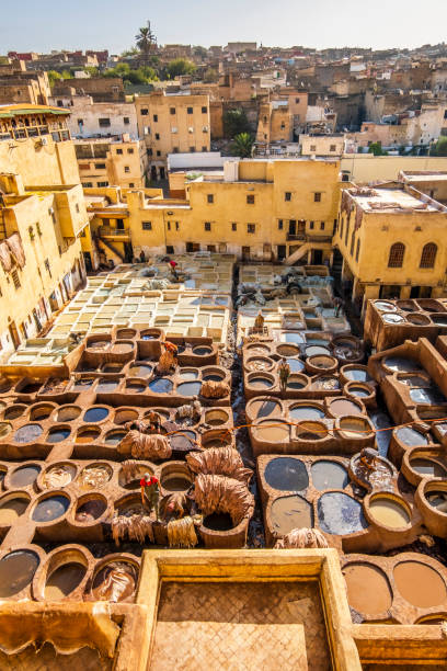 curtume de pele famoso em fes, marrocos, áfrica - moroccan tannery - fotografias e filmes do acervo