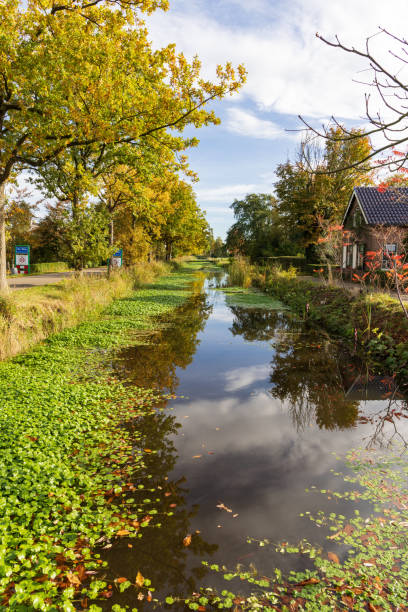 istock Village view De Wilp the Netherlands 1454404950