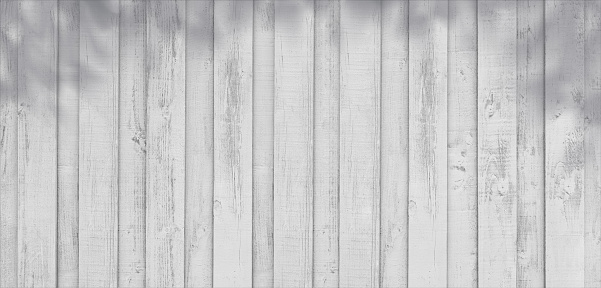 White Wood background,Washed old Wooden texture with sunlight and leaf shadow,Vintage garden fence wall,Wood striped fiber surface,Wide Horizon Background plank with copy space for text