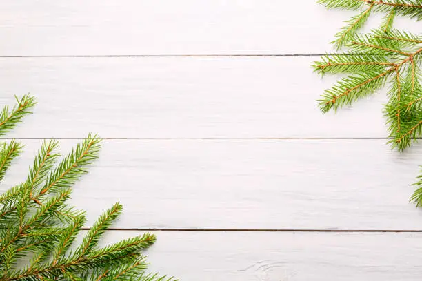 Christmas background. Christmas fir tree branches on white rustic wooden board with copy space.