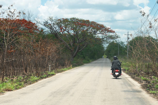 istock Long road with a moto and a big tree 1454408330