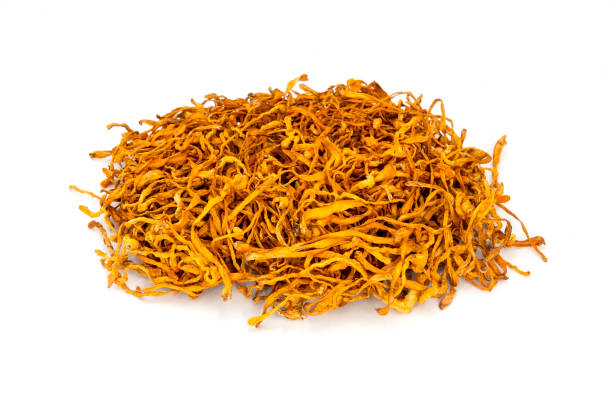 istock Cordyceps flowers 1454411775