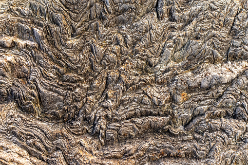 A red-brown dragon scale textured background