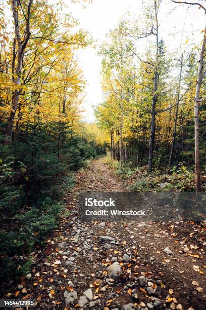Fall Path On My Charlevoix Traverse Stock Photo - Download Image Now - Charlevoix, Color Image, Footpath