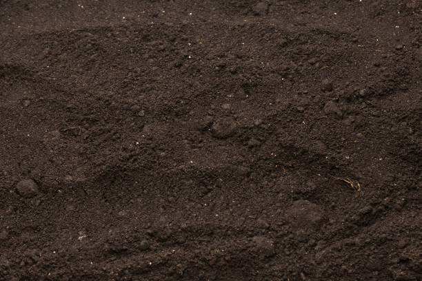 istock Black land for plant background. Top view. 1454414621