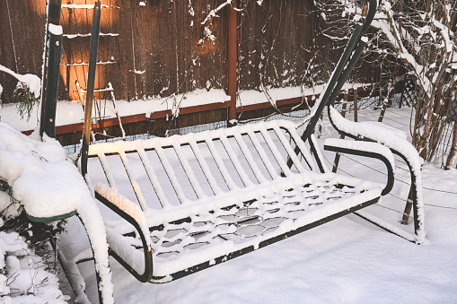 Snow covered trees in the backyard garden