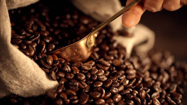istock Coffee Bean and Scoop 1454417375