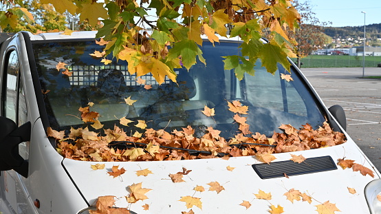 Däniken, Switzerland, 14 09 2022, Autumn golden leaves on a front window of a parked car. There is a tree branch hanging over the car with colorful foliage of green and yellow.