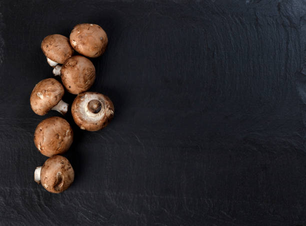 istock Freshly harvested champignon mushrooms on dark stone 1454420531